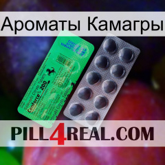 Ароматы Камагры new04